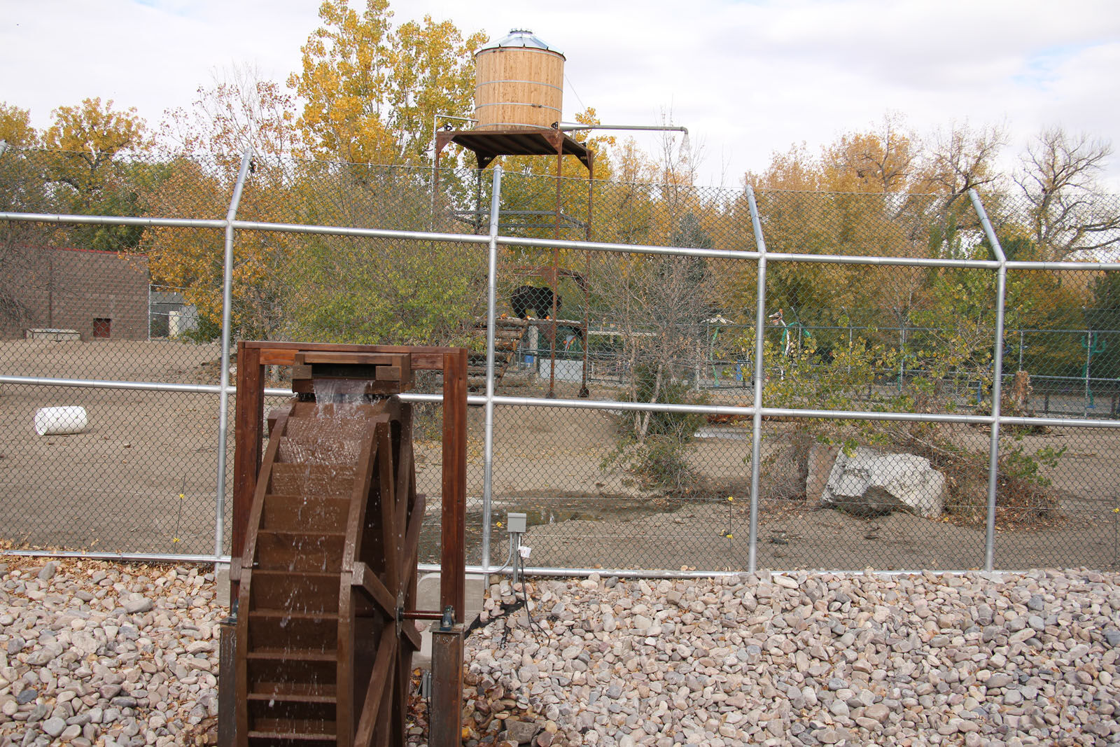 IMG_0166RDC Bear Exhibit.jpg